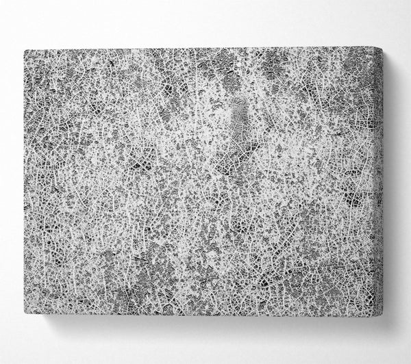  A Canvas Print of White Crackled Canvas Canvas Art