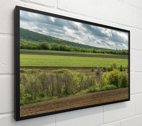 Brown Fields And Green Hills