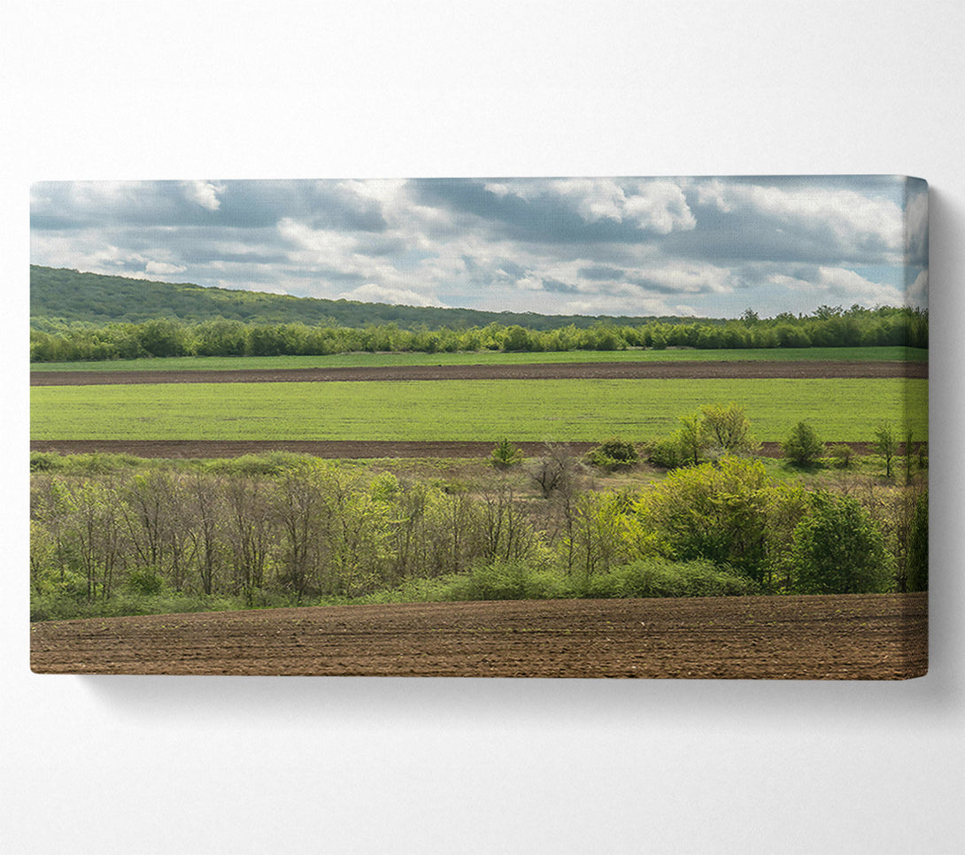  A Canvas Print of Brown Fields And Green Hills Canvas Print