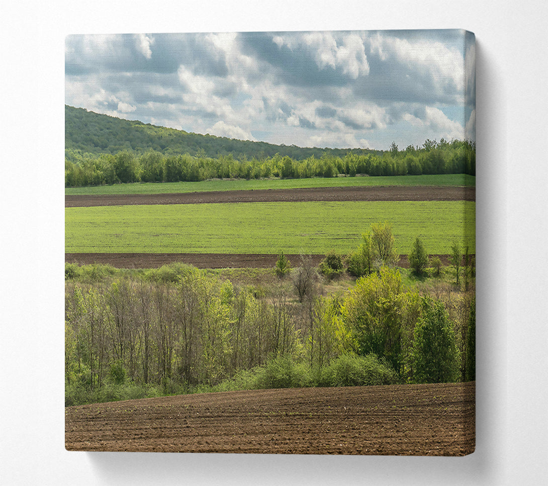  A Canvas Print of Brown Fields And Green Hills Canvas Print