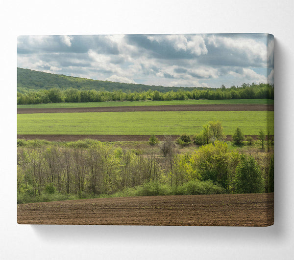  A Canvas Print of Brown Fields And Green Hills Canvas Print