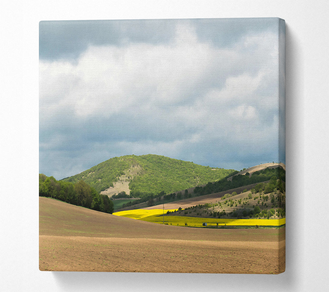  A Canvas Print of Golden Hills Under Clouds Canvas Wall Art