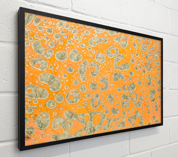 Orange & Silver Cells