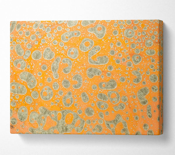  A Canvas Print of Orange & Silver Cells Canvas Print
