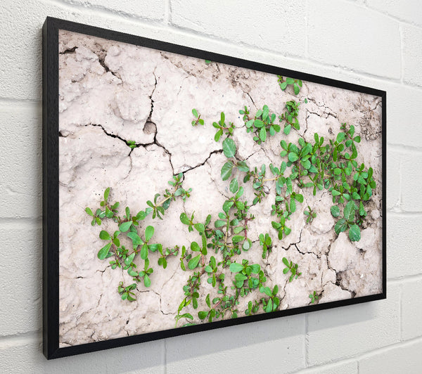 Green Sprout On Grey Earth