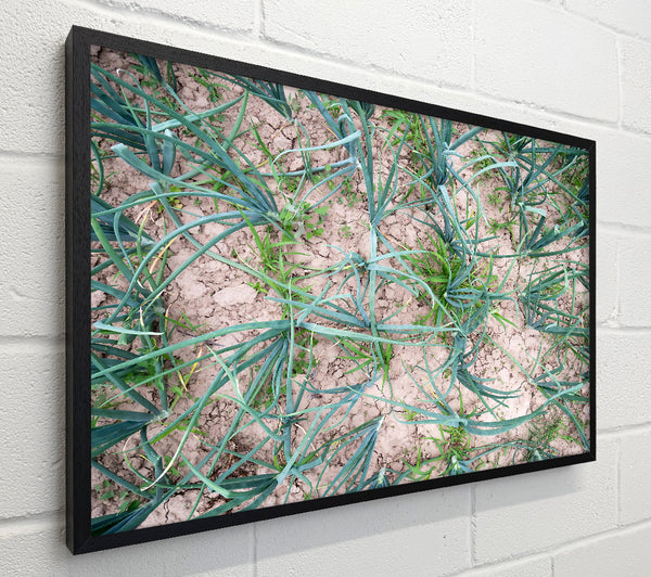 Green Cracked Earth