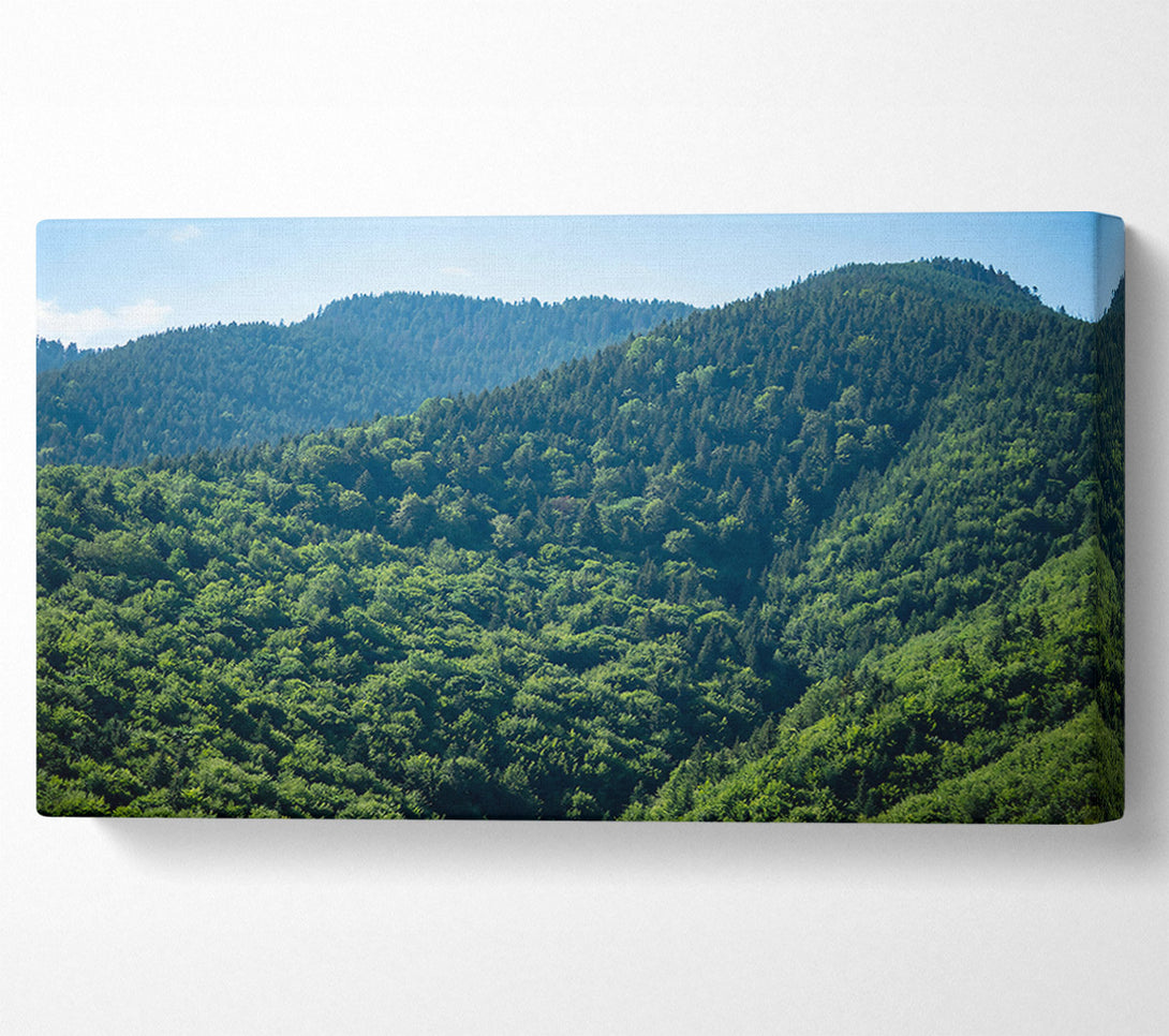  A Canvas Print of Emerald Forest Hills Canvas Print