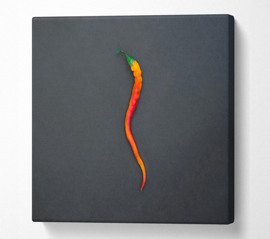  A Canvas Print of Orange Chili Curve Canvas Print