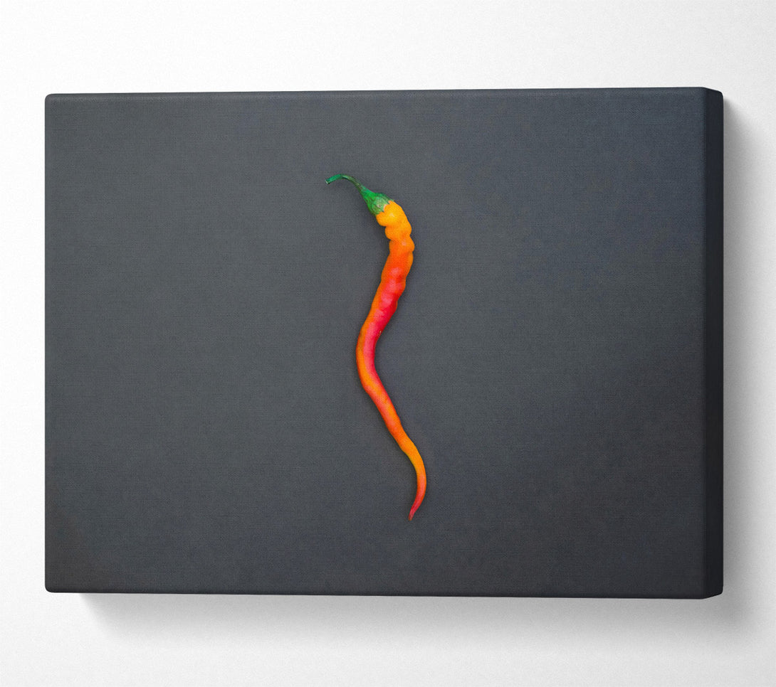 A Canvas Print of Orange Chili Curve Canvas Print