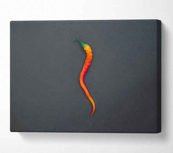  A Canvas Print of Orange Chili Curve Canvas Print