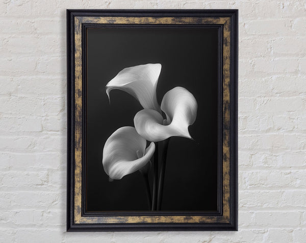 Special Walnut Lillies Framed Print