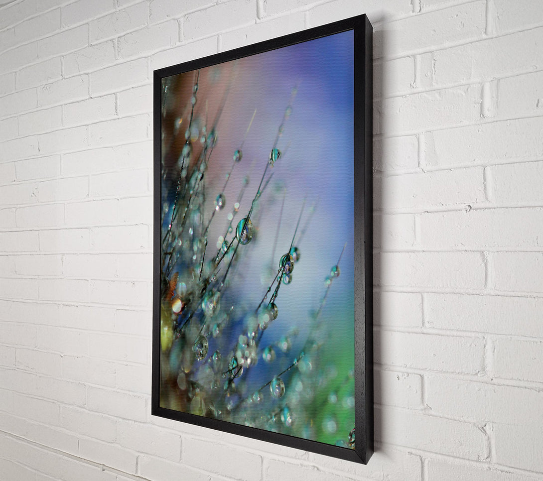  A Canvas Print of Aqua Dew Drops Canvas Wall Art
