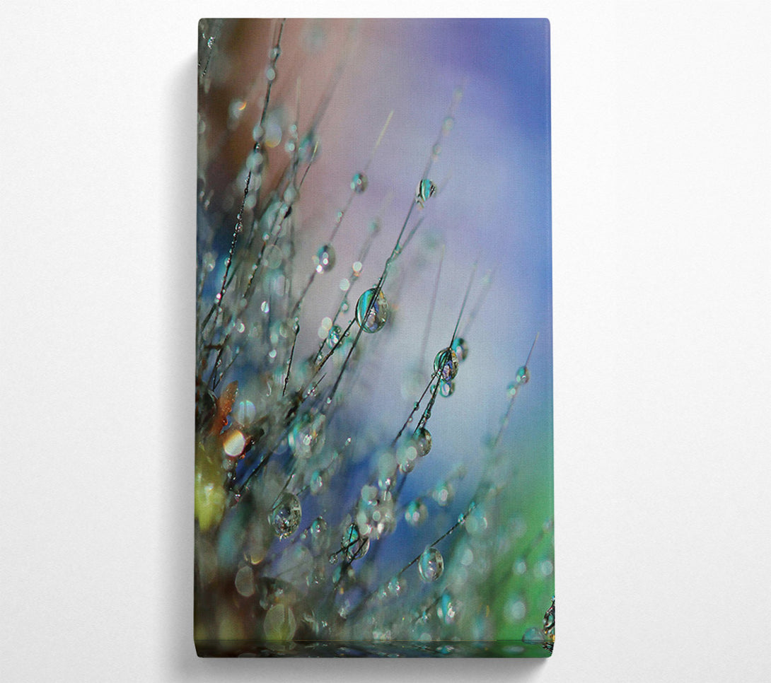  A Canvas Print of Aqua Dew Drops Canvas Wall Art