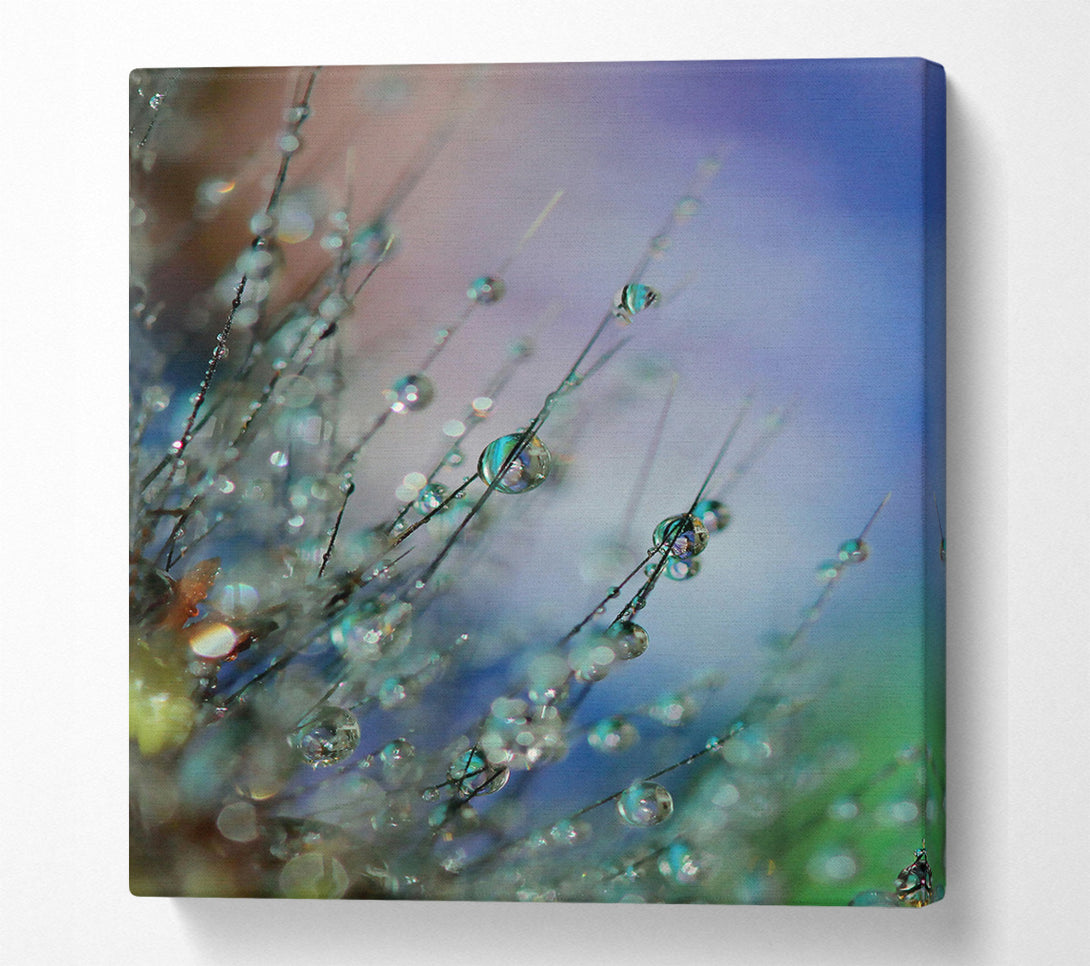  A Canvas Print of Aqua Dew Drops Canvas Wall Art
