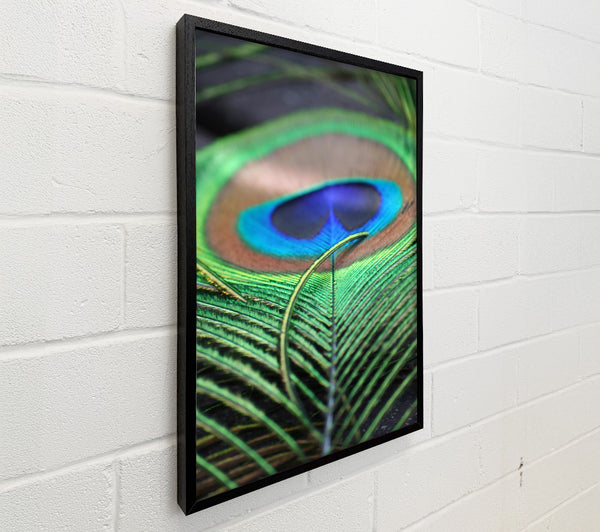Emerald Peacock Eye