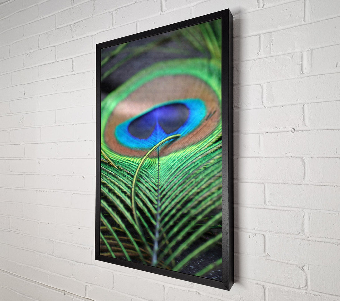  A Canvas Print of Emerald Peacock Eye Canvas Art