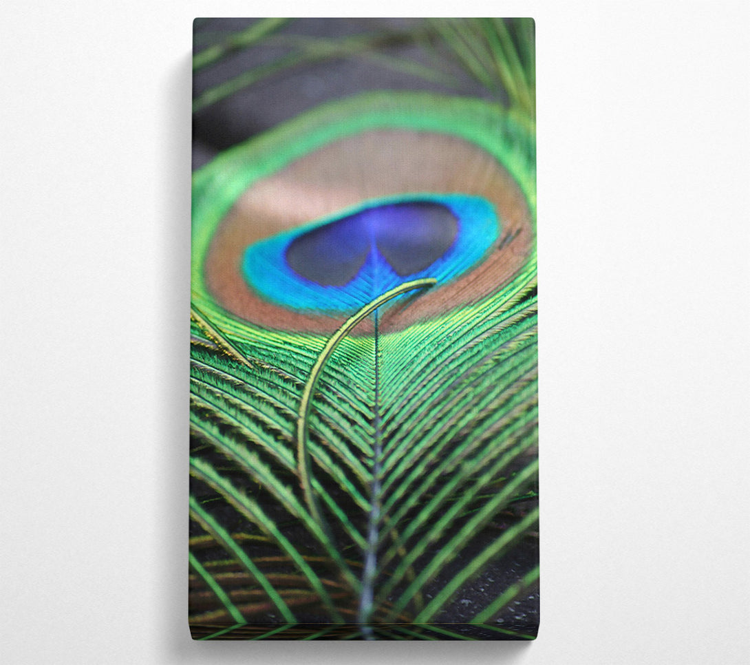  A Canvas Print of Emerald Peacock Eye Canvas Art