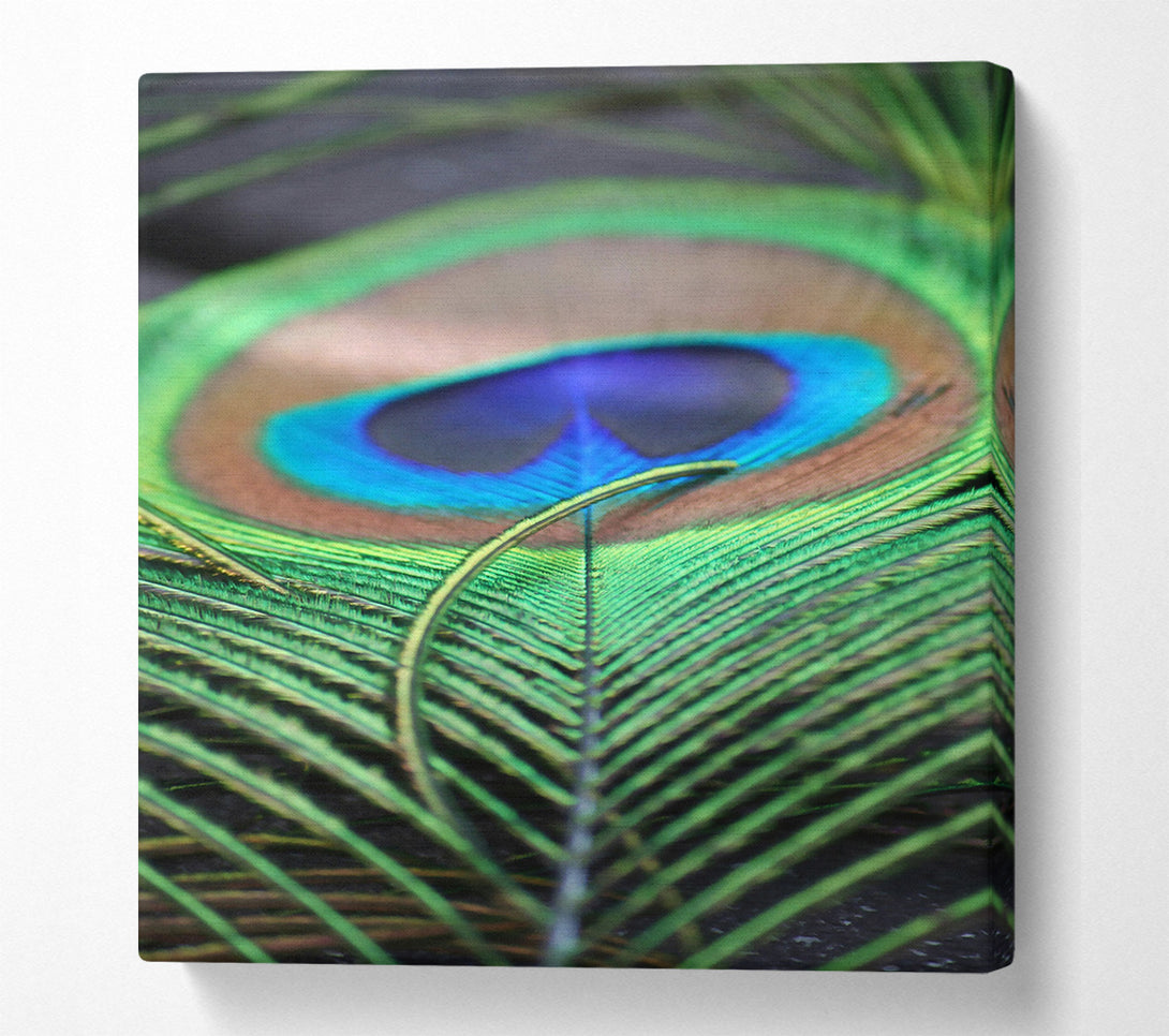  A Canvas Print of Emerald Peacock Eye Canvas Art