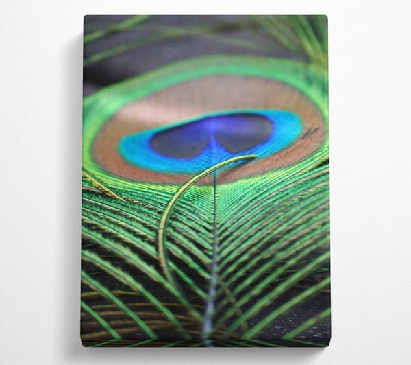  A Canvas Print of Emerald Peacock Eye Canvas Art
