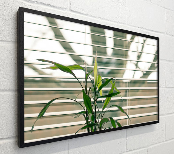 Green Through The Blinds