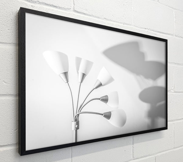 White Light And Shadow
