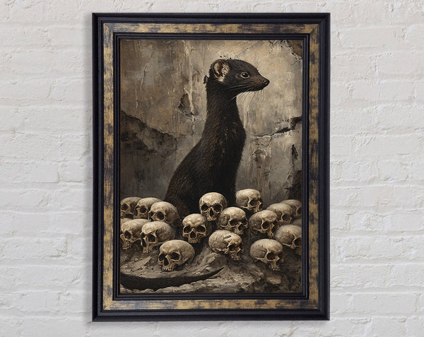 Stoat Of Skulls Framed Print