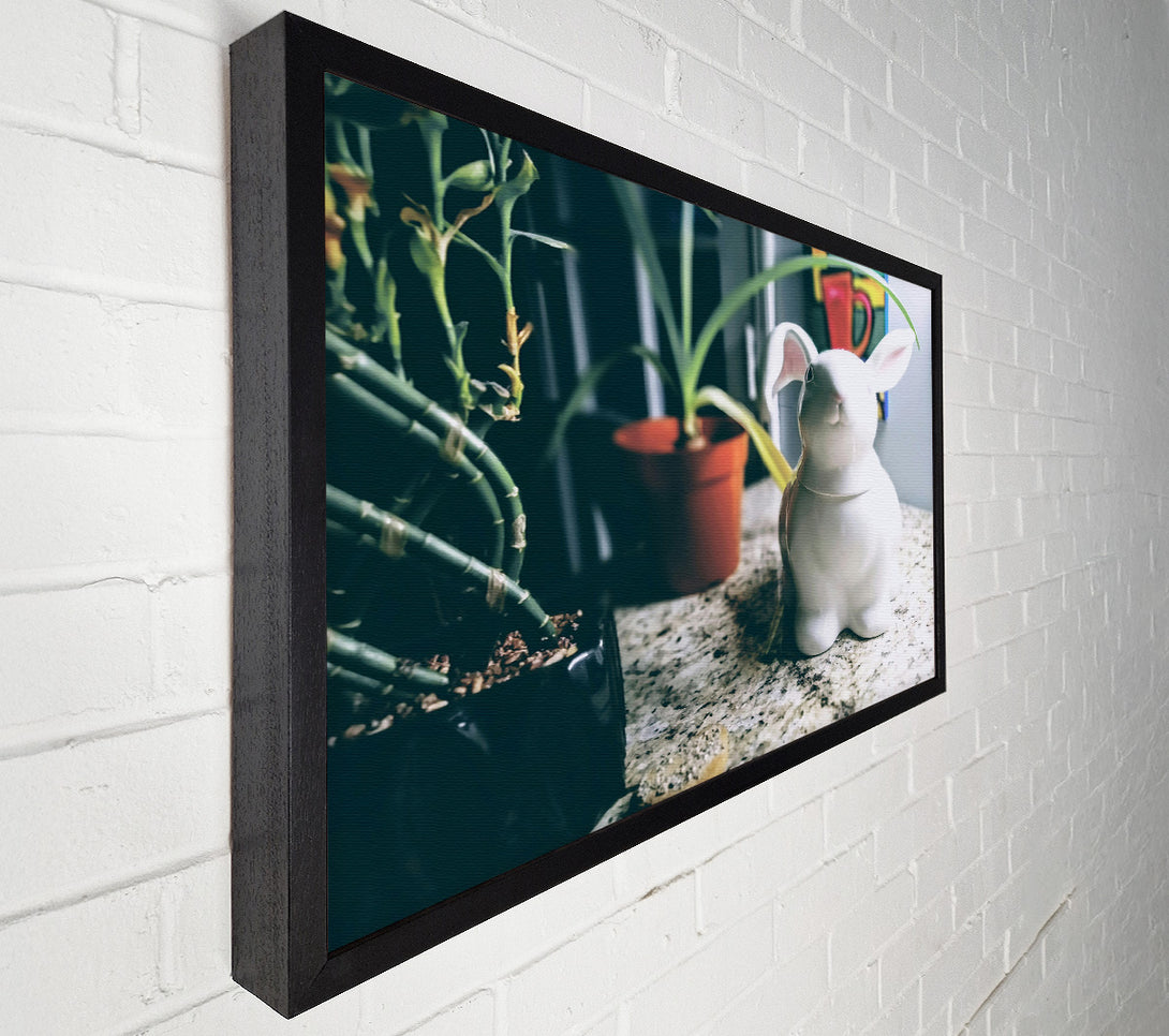  A Canvas Print of White Bunny On Granite Canvas Print