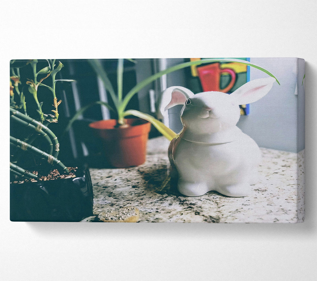  A Canvas Print of White Bunny On Granite Canvas Print