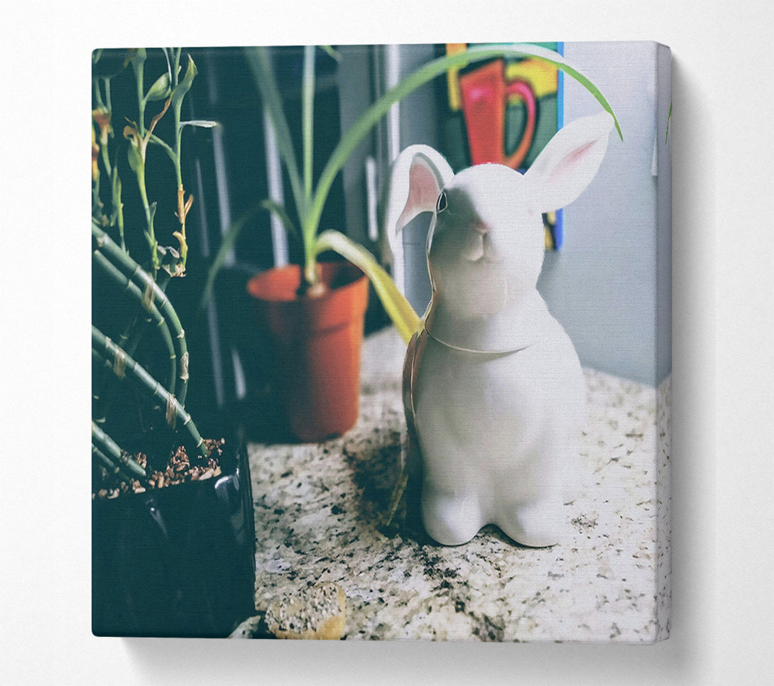  A Canvas Print of White Bunny On Granite Canvas Print