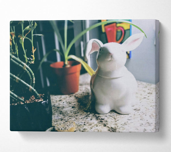  A Canvas Print of White Bunny On Granite Canvas Print