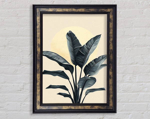 Sun Above The Palm Framed Print