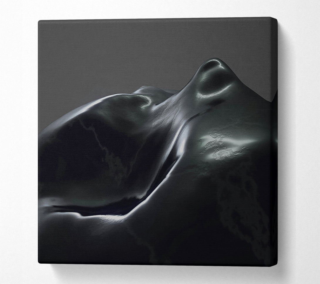  A Canvas Print of Black Liquid Form Canvas Wall Art