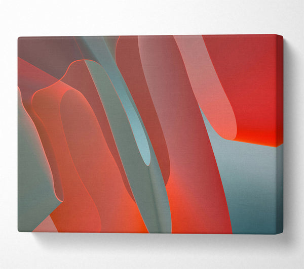  A Canvas Print of Coral Abstract Forms Canvas Print