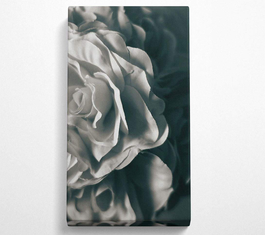  A Canvas Print of Soft White Layers Canvas Print