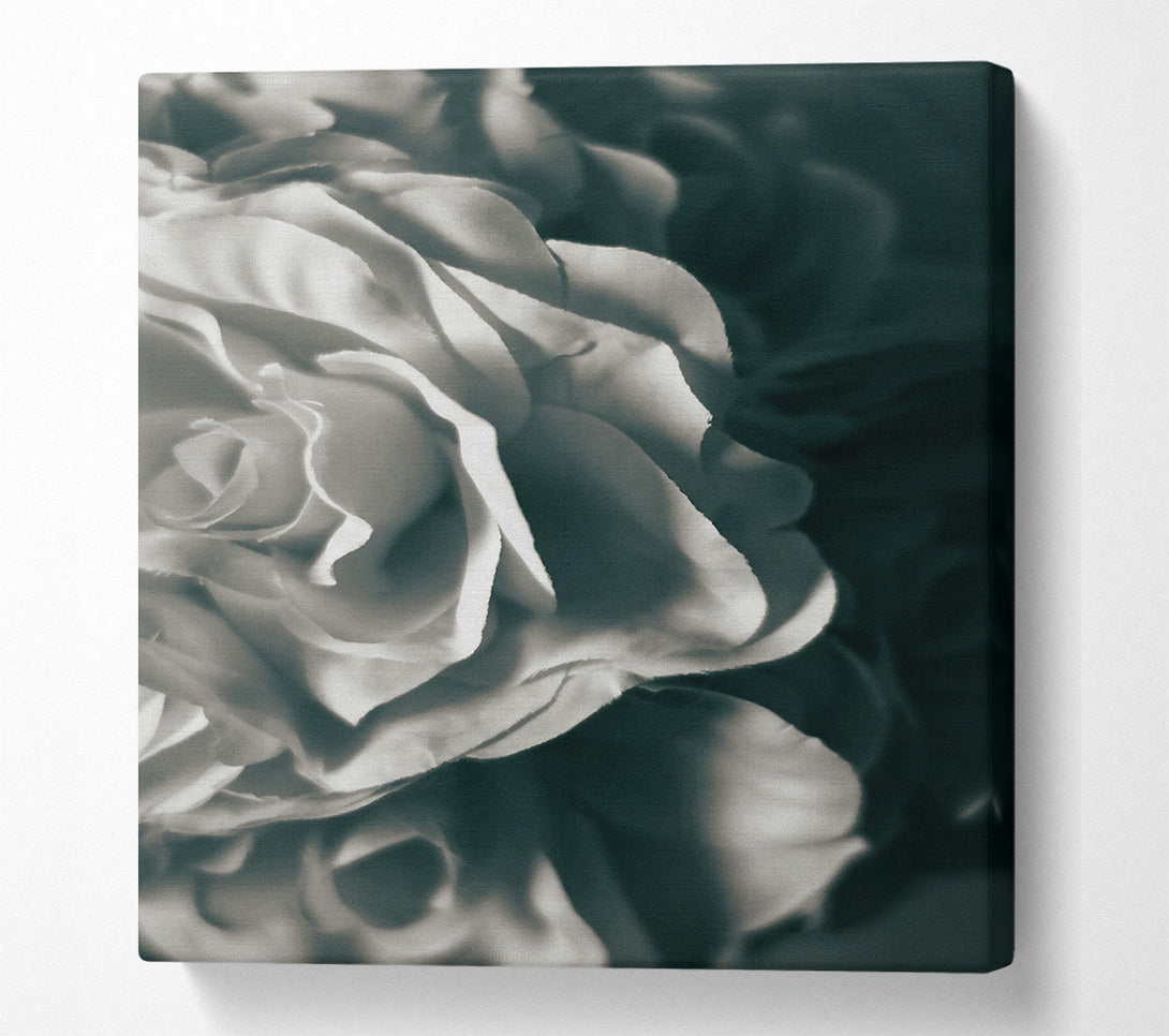  A Canvas Print of Soft White Layers Canvas Print