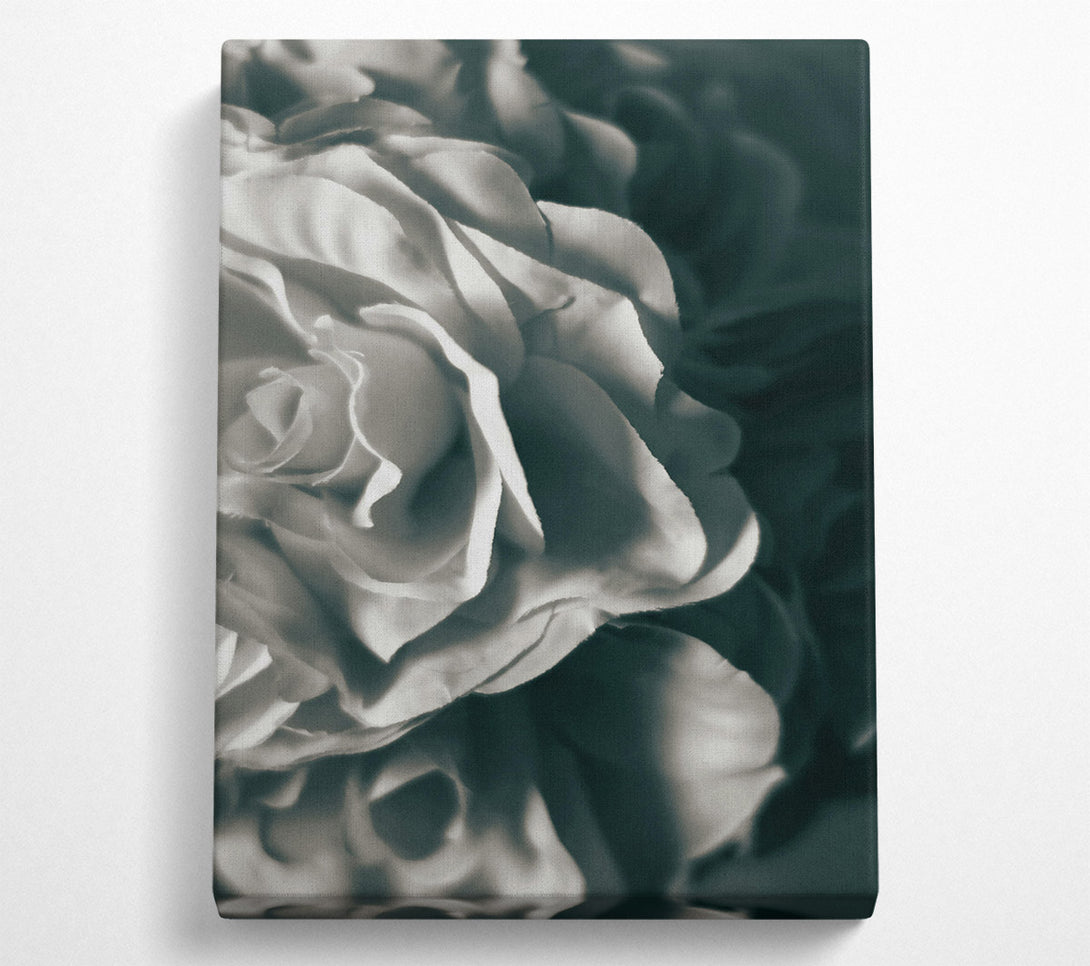  A Canvas Print of Soft White Layers Canvas Print