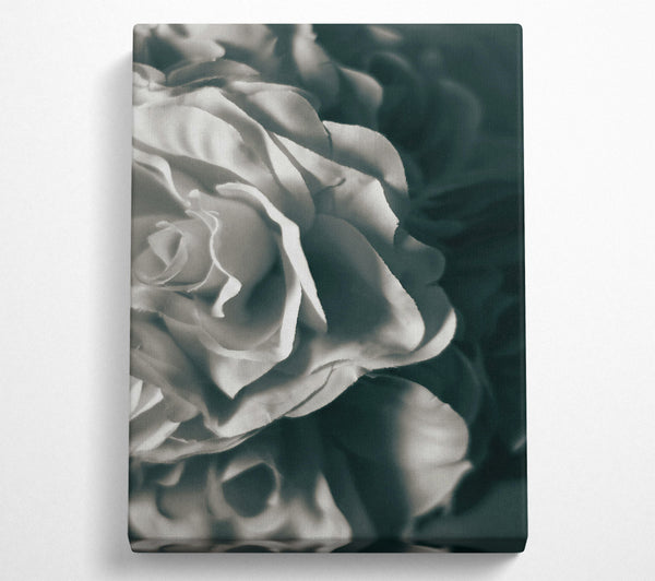  A Canvas Print of Soft White Layers Canvas Print