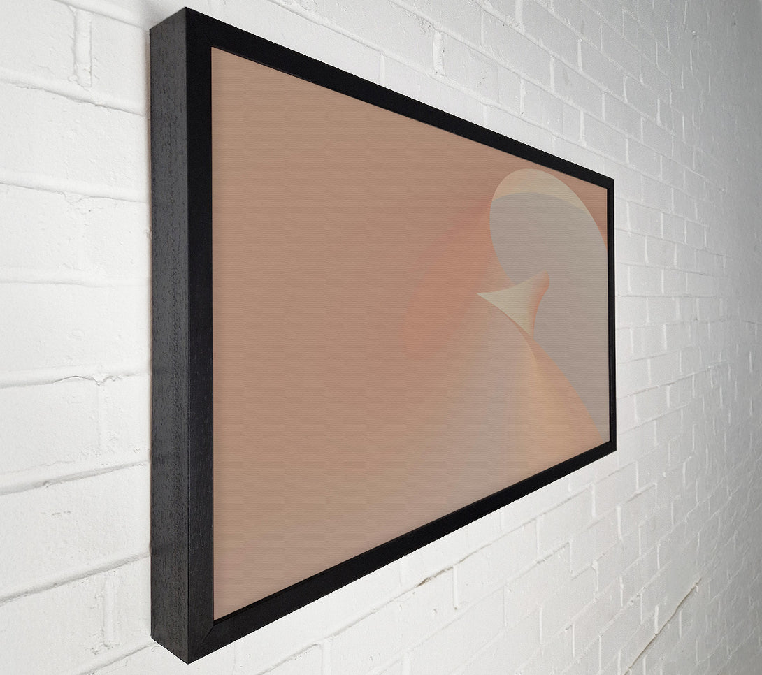  A Canvas Print of Peachy Abstract Form Canvas Print