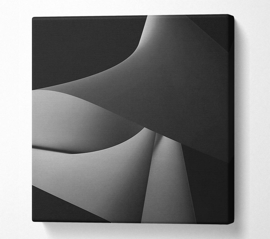 A Canvas Print of Silver Form And Shadow Canvas Print