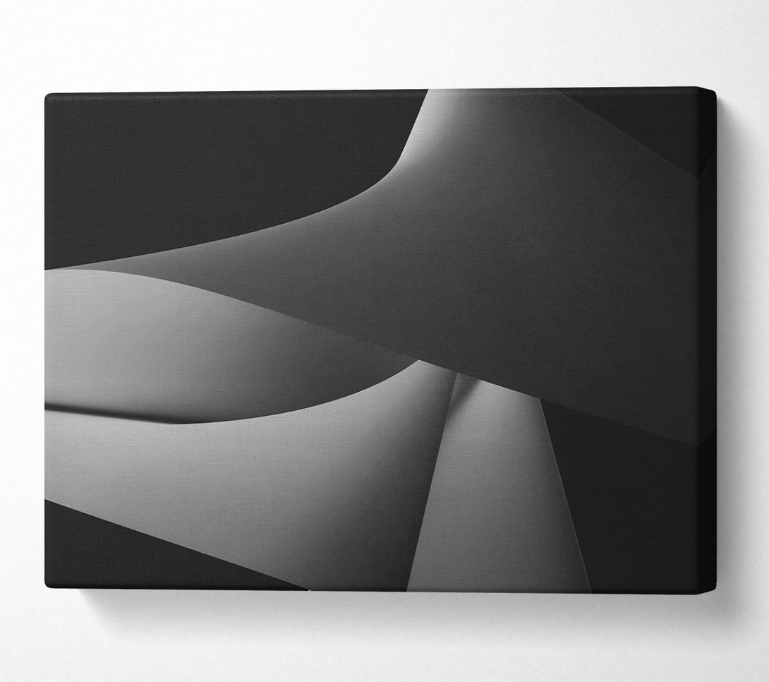  A Canvas Print of Silver Form And Shadow Canvas Print