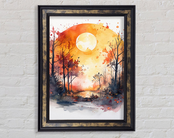 The Autumn Sun Forest Framed Print