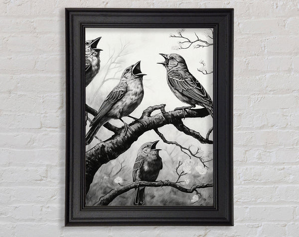The Birds In Black And White Framed Print