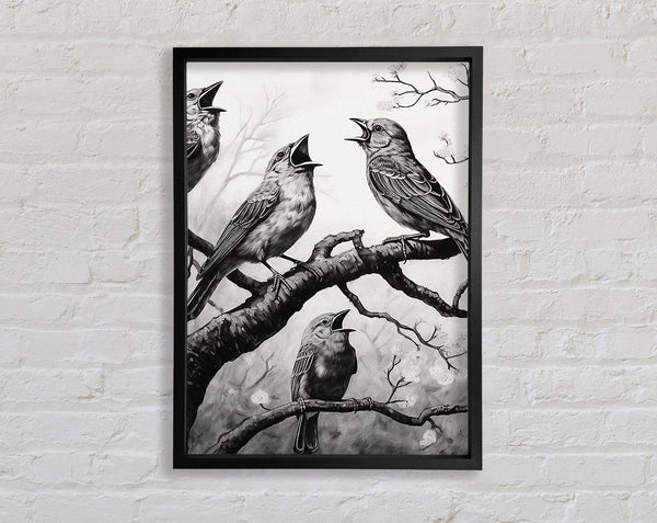 The Birds In Black And White Framed Print