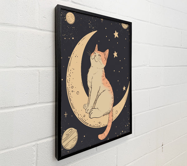 The Cat On The Moon