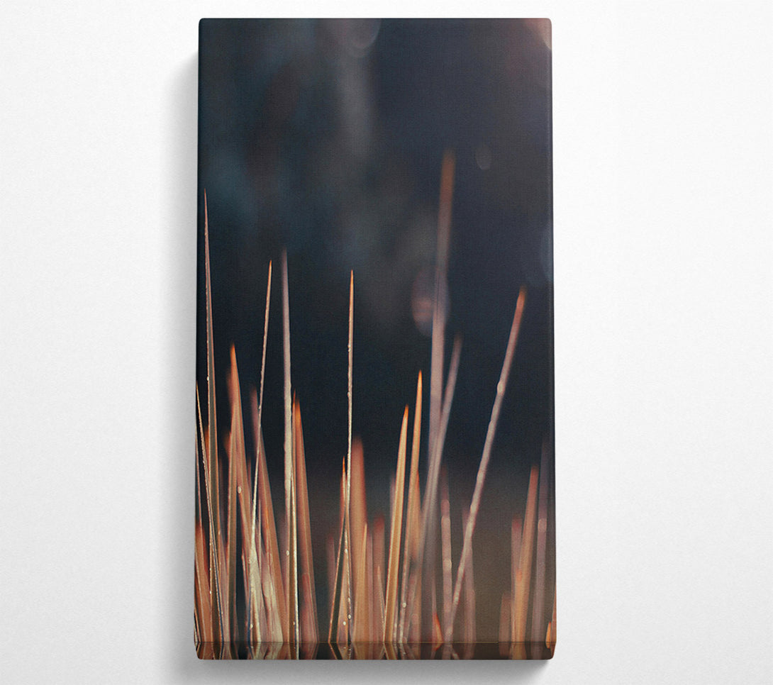  A Canvas Print of Golden Blades Of Dawn Canvas Art