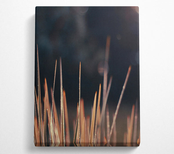  A Canvas Print of Golden Blades Of Dawn Canvas Art