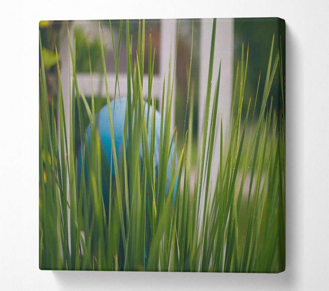  A Canvas Print of Hidden Blue Orb Canvas Print