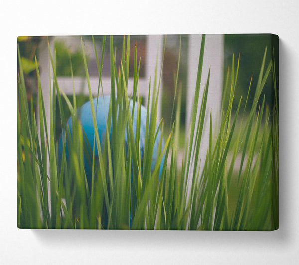 Hidden Blue Orb Canvas Print