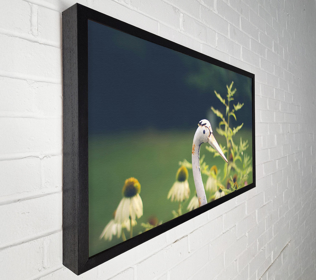  A Canvas Print of White Crane In Bloom Canvas Art