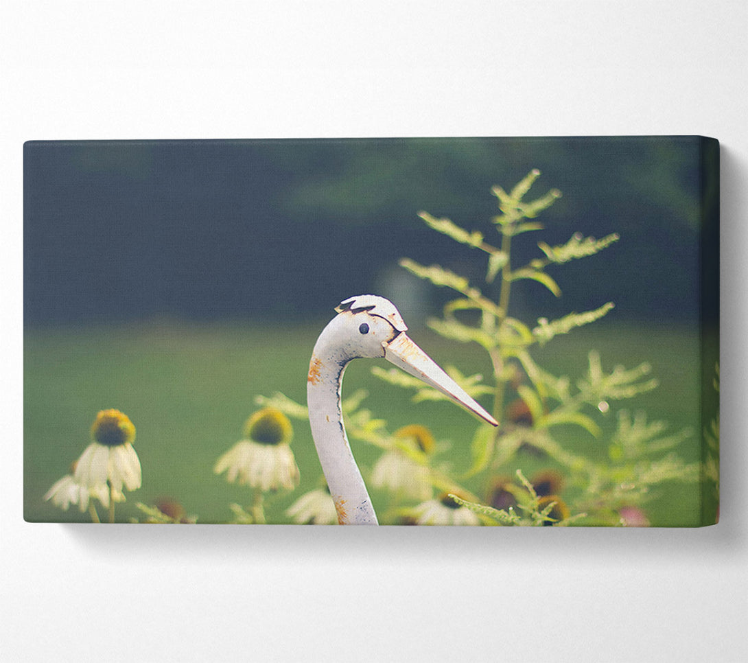  A Canvas Print of White Crane In Bloom Canvas Art